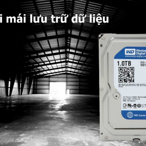 Ổ cứng WD Caviar Blue 1TB 64MB Cache