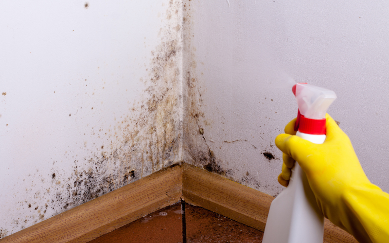 H1 Cách Khắc Phục Lỗi Linh Kiện Bị Ẩm Mốc 3 H1 Cách Khắc Phục Lỗi Linh Kiện Bị Ẩm Mốc