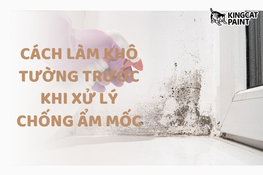 H1 Cách Khắc Phục Lỗi Linh Kiện Bị Ẩm Mốc 2 H1 Cách Khắc Phục Lỗi Linh Kiện Bị Ẩm Mốc