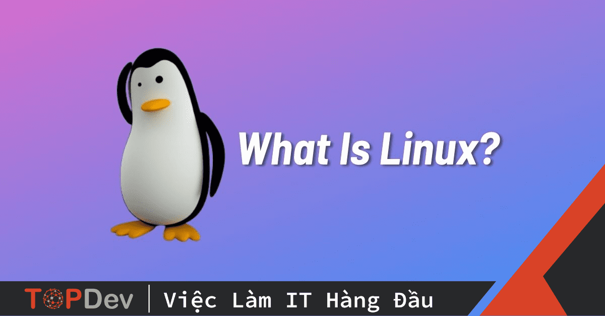 Xử lý lỗi khi chuyển từ Windows sang Linux 3 Xử lý lỗi khi chuyển từ Windows sang Linux